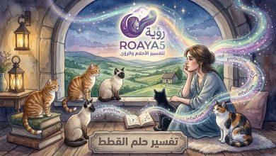 تفسير حلم القطط
